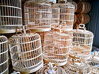 06 - Malang - Pasar Splendid Dierenmarkt 09a