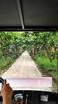 07 - Blitar - Kampung Coklat Fabriek Rondtoer 03