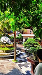 07 - Blitar - Kampung Coklat Fabriek Rondtoer 06