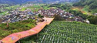 08b - Diversen - Platteland 20