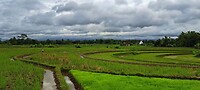 08b - Diversen - Platteland 22