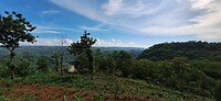 08b - Diversen - Platteland 487743