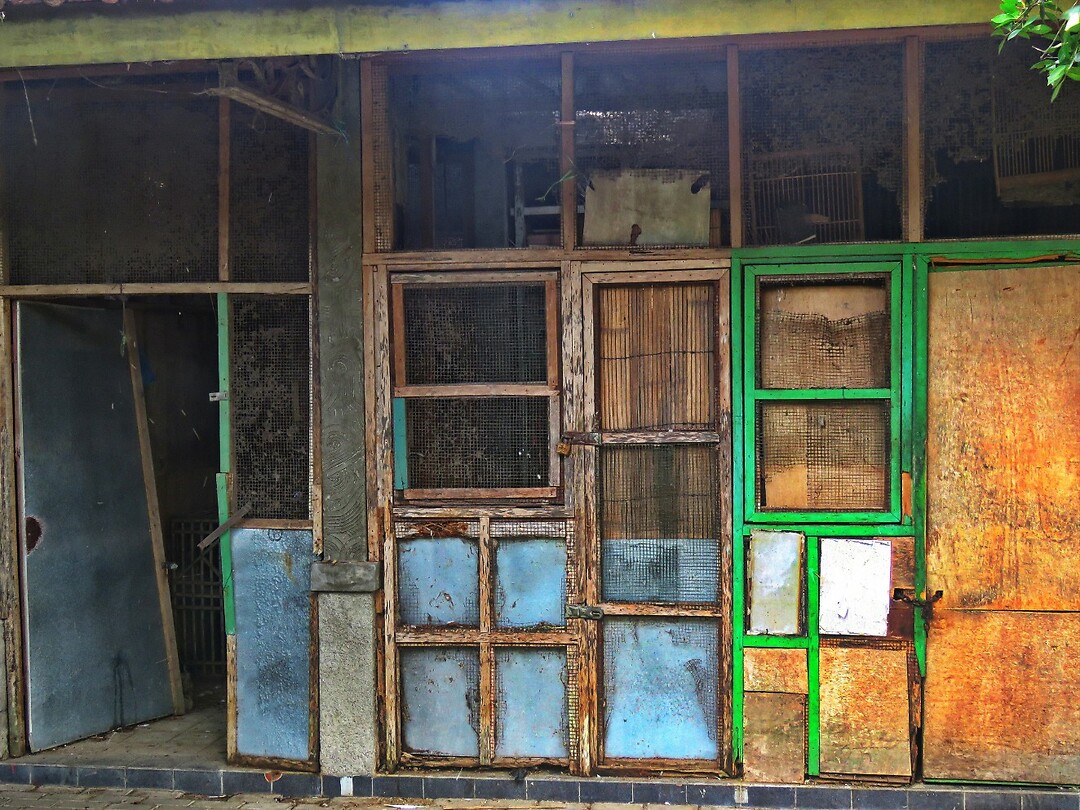12 - Yogya - Bird Market 06ic