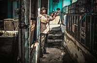 12 - Yogya - Bird Market 27