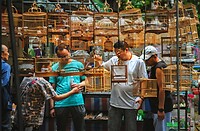 12 - Yogya - Bird Market 28