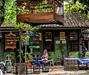 12 - Yogya - Bird Market 31