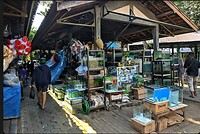 12 - Yogya - Bird Market 32