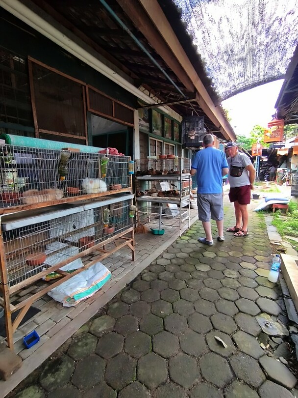 12 - Yogya - Bird Market 32c