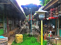 12 - Yogya - Bird Market 39