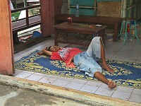 12 - Yogya - Bird Market 43