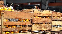 12 - Yogya - Fruit Market 06