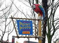 Eurodisney - Adventureland Diversen 01