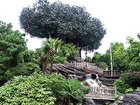 Eurodisney - Adventureland Isle 19