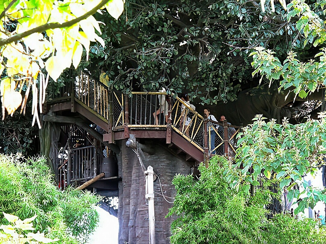 Eurodisney - Adventureland Isle 22