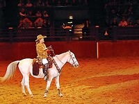 Eurodisney - Frontierland Wild Bill 07