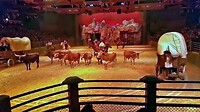 Eurodisney - Frontierland Wild Bill 15