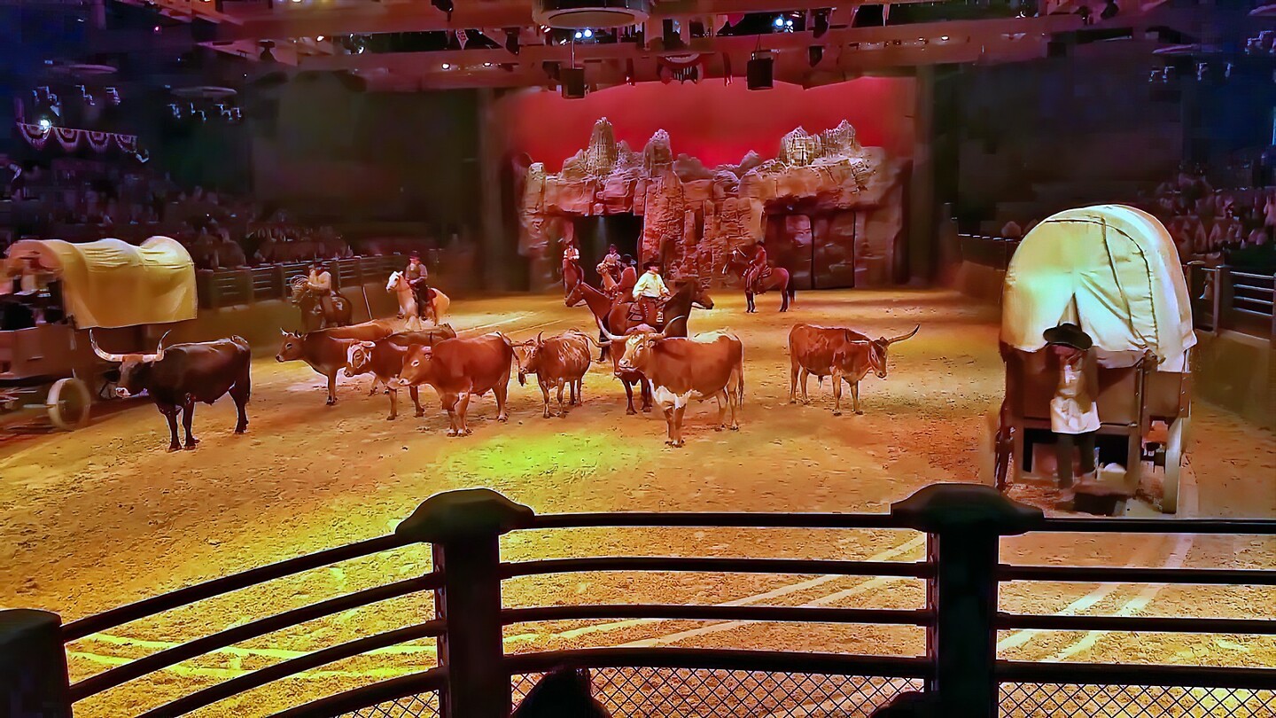 Eurodisney - Frontierland Wild Bill 15