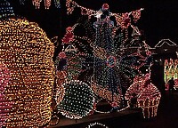 Eurodisney - Shows 24