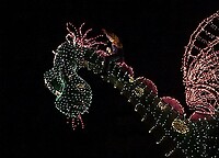 Eurodisney - Shows 27