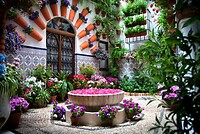 08 Cordoba Patio 08