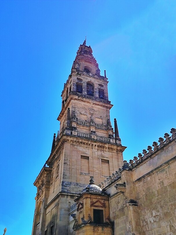 08 Cordoba Wandelen 2024-05-28 11.56.47