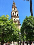 08 Cordoba Wandelen 2024-05-28 12.31.53