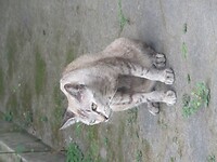 13 Toer - Kota Gede Df_3