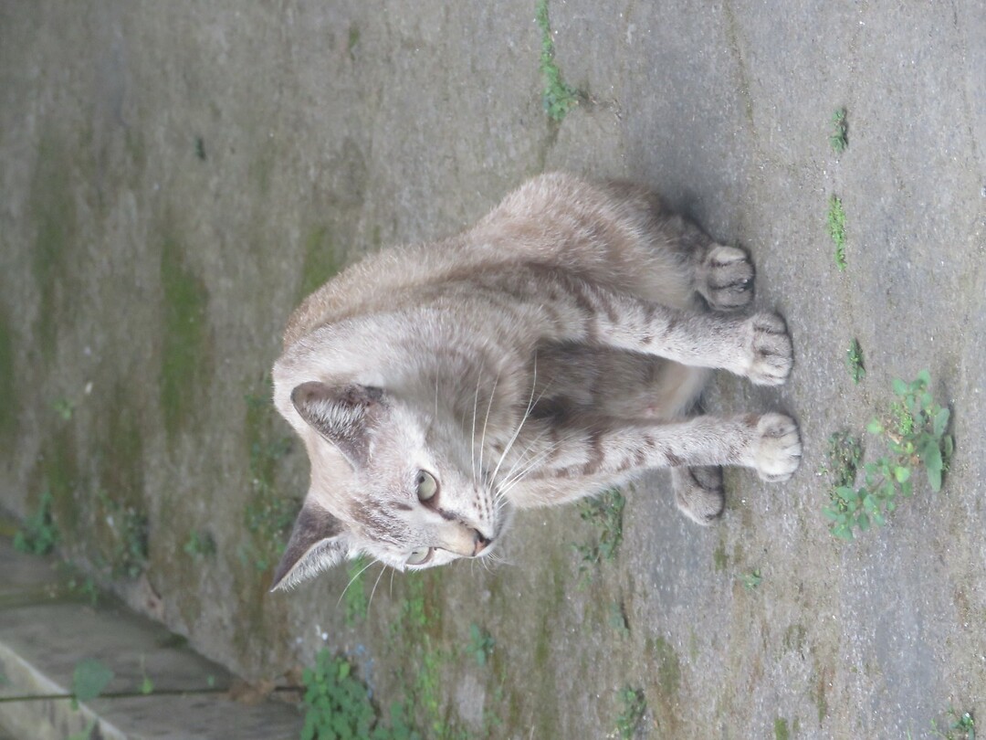 13 Toer - Kota Gede Df_3