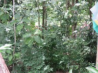 13 Toer - Wirawisata Goa Pindul Raften _47