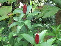 13 Toer - Wirawisata Goa Pindul Raften _48