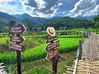 Thailand & Cambodja 2020 - Dag 10-Chiang Mai - 02 - Bamboo Bridge 01