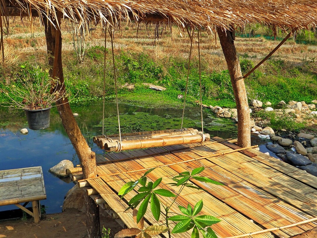 Thailand & Cambodja 2020 - Dag 10-Chiang Mai - 02 - Bamboo Bridge 14