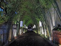 Thailand & Cambodja 2020 - Dag 12-Chiang Mai - 03 - Stad Nacht Tocht 02