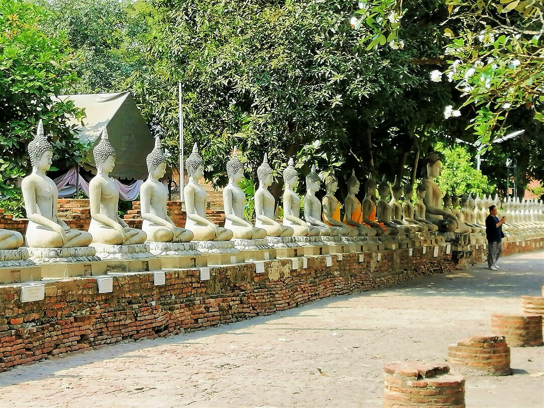 Thailand & Cambodja 2020 - Dag 16-Ayutthaya - 05 - Boedha Rij 02