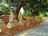 Thailand & Cambodja 2020 - Dag 16-Ayutthaya - 05 - Boedha Rij 03
