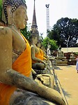 Thailand & Cambodja 2020 - Dag 16-Ayutthaya - 05 - Boedha Rij 05