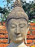 Thailand & Cambodja 2020 - Dag 16-Ayutthaya - 05 - Boedha Rij 08