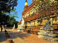 Thailand & Cambodja 2020 - Dag 16-Ayutthaya - 05 - Boedha Rij 11
