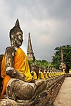 Thailand & Cambodja 2020 - Dag 16-Ayutthaya - 05 - Boedha Rij 14