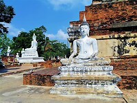 Thailand & Cambodja 2020 - Dag 16-Ayutthaya - 05 - Boedha Rij 15