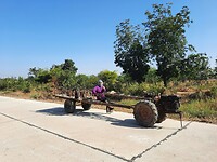 Thailand & Cambodja 2020 - Dag 25-Siem Reap - 01 - Onderweg 27