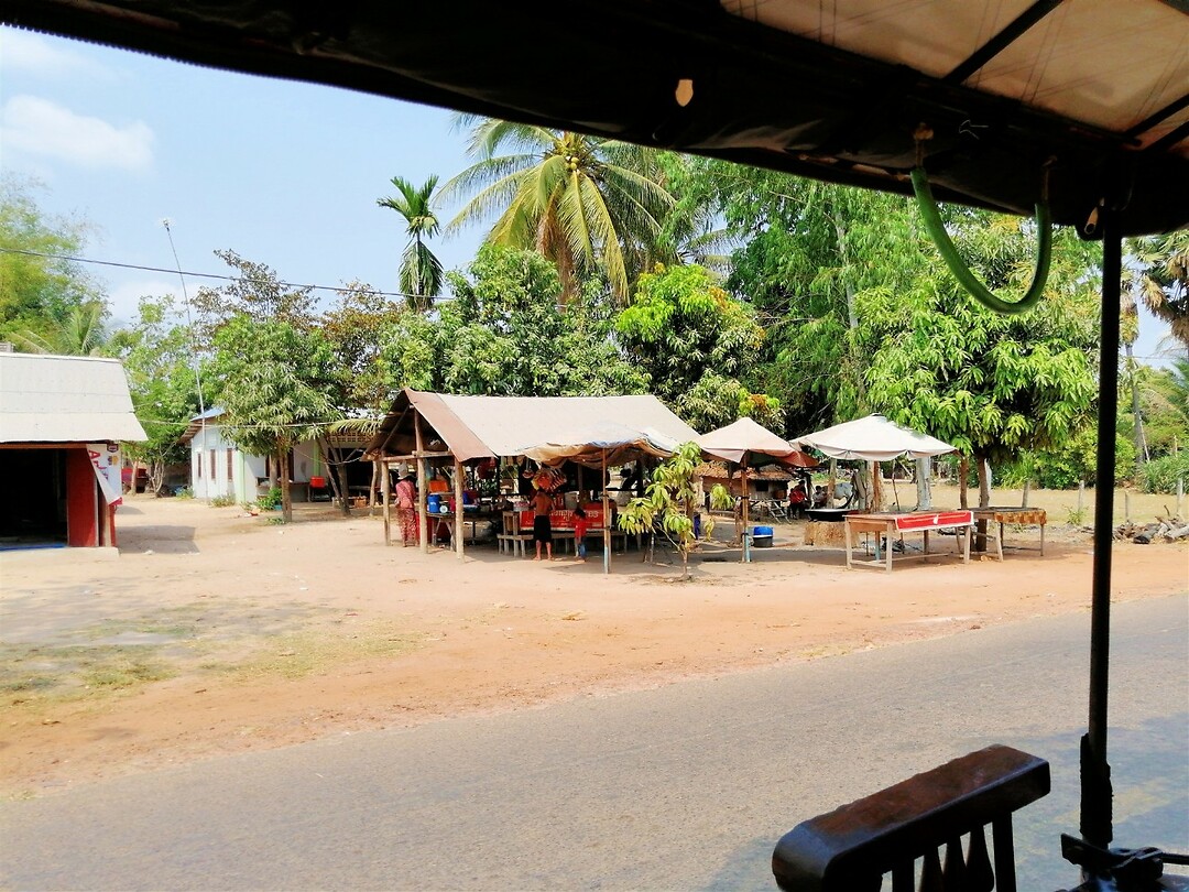 Thailand & Cambodja 2020 - Dag 27-Siem Reap - 02 - Onderweg 15