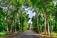 Thailand & Cambodja 2020 - Dag 27-Siem Reap - 02 - Onderweg 16