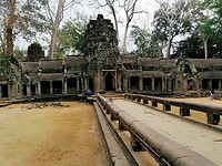 Thailand & Cambodja 2020 - Dag 27-Siem Reap - 03 - Tempel Ta Prohm 05