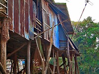 Thailand & Cambodja 2020 - Dag 28-Siem Reap - 03 - Kampong Phluk 15