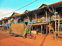Thailand & Cambodja 2020 - Dag 28-Siem Reap - 03 - Kampong Phluk 17