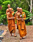 Thailand & Cambodja 2020 - Dag 41-Diversen 4 Monniken Bloemen