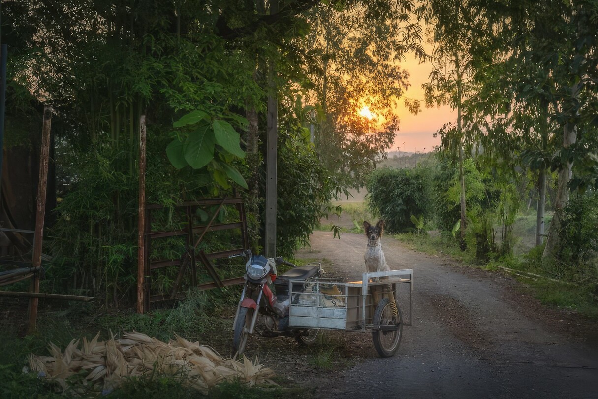 Thailand & Cambodja 2020 - Dag 41-Diversen 163