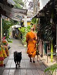 Thailand & Cambodja 2020 - Dag 41-Monnik 17