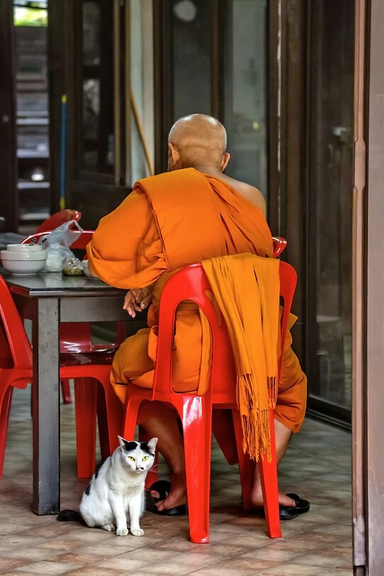 Thailand & Cambodja 2020 - Dag 41-Monnik 36